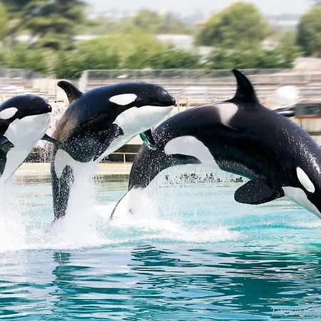 Ibis Styles Antibes Les Pins 3* Жюан-ле-Пен