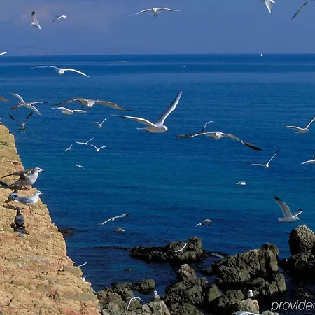 Ibis Styles Antibes Les Pins